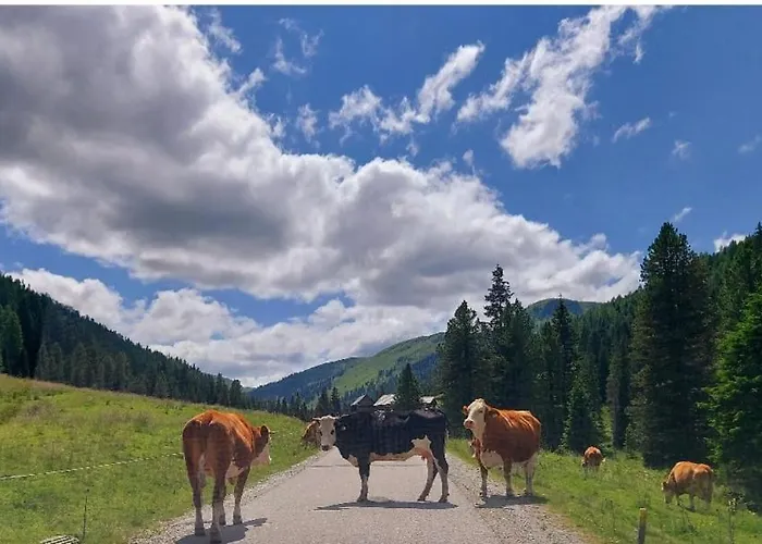 & Alps Tamsweg 別荘 Sauerfeld